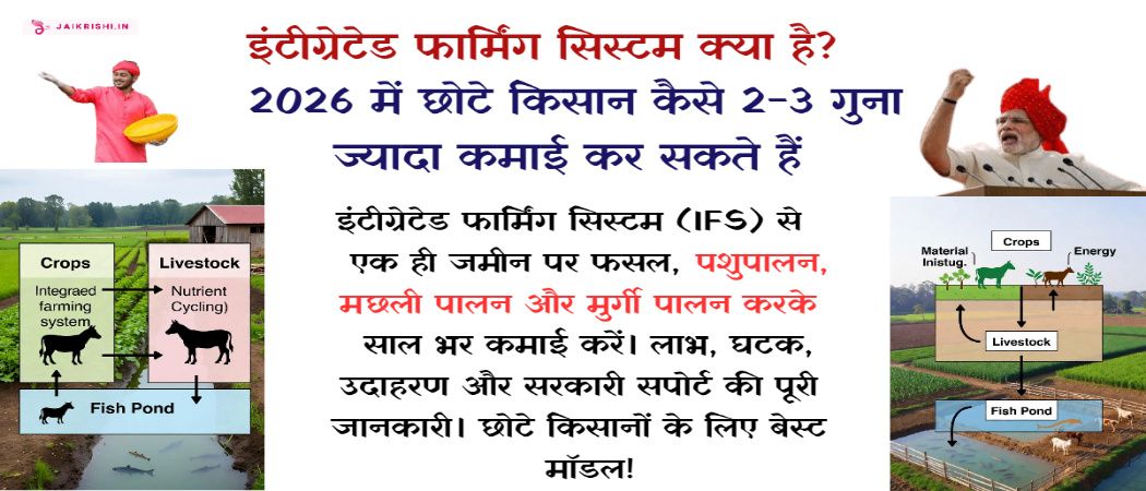 Integrated Farming System – IFS